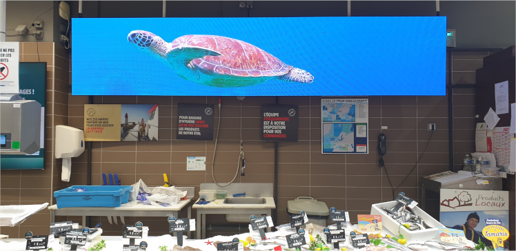 solution affichage d'écran dynamique allsan