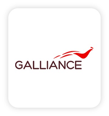 logo galliance Affichage dynamique allsan